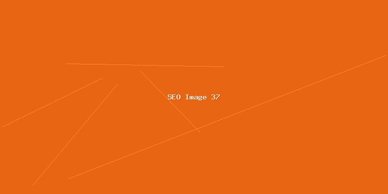 网站SEO