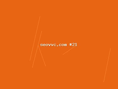 网站SEO的最新实践：SEO推广优化策略全解读